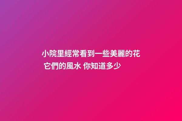 小院里經常看到一些美麗的花 它們的風水 你知道多少